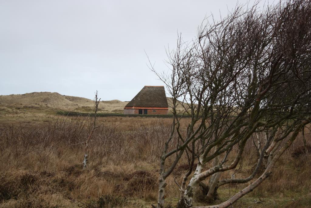 Duinhotel Texel De Koog  Exteriér fotografie