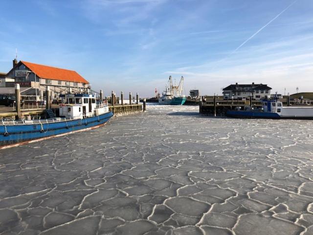 Duinhotel Texel De Koog  Exteriér fotografie